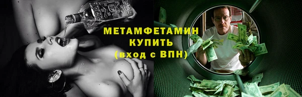 шишки Осинники