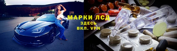 ГАЛЛЮЦИНОГЕННЫЕ ГРИБЫ Балабаново