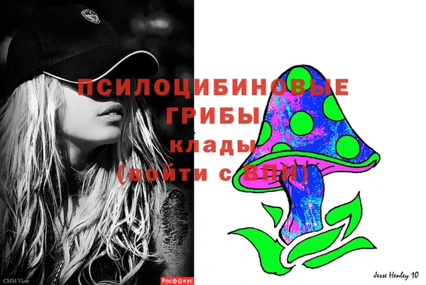 мдпв Арсеньев