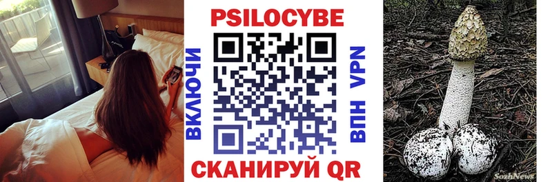купить наркотики цена  Тара  Галлюциногенные грибы Psilocybine cubensis 